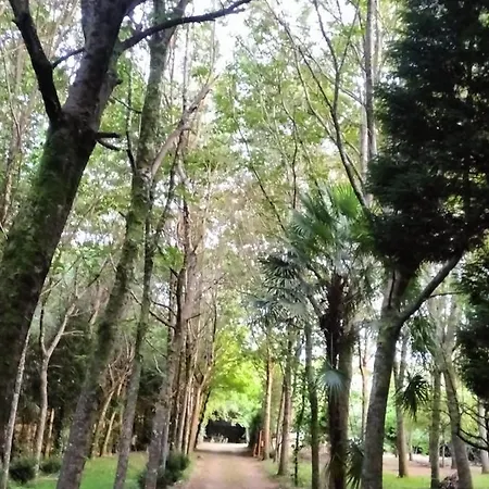 Oasis En Ponte San Lazaro La Coruña