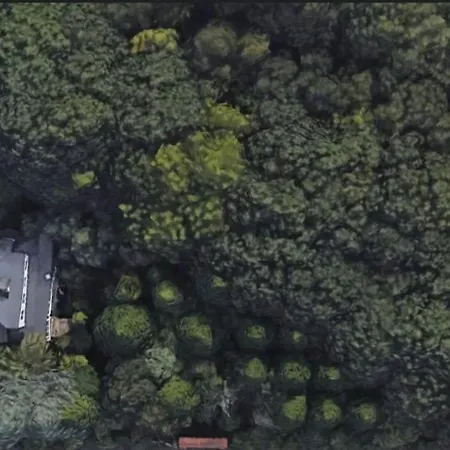 民宿 Oasis En Ponte San Lazaro