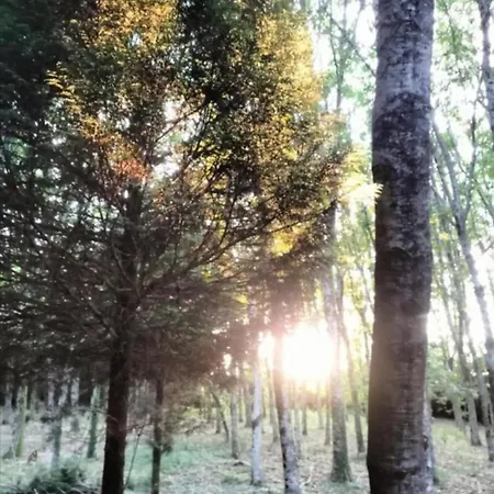 民宿 Oasis En Ponte San Lazaro *