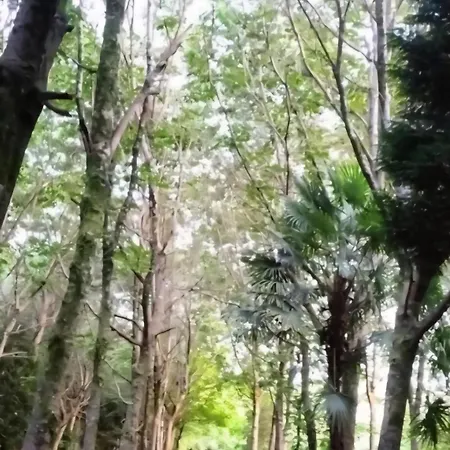 Oasis En Ponte San Lazaro A Coruna