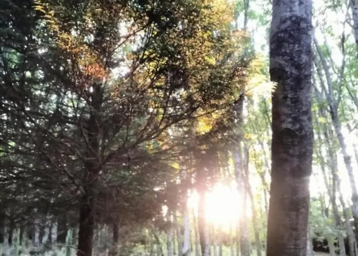 Rum i privatbostad Oasis En Ponte San Lazaro *