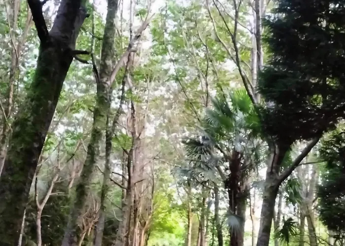 Oasis En Ponte San Lazaro A Coruna